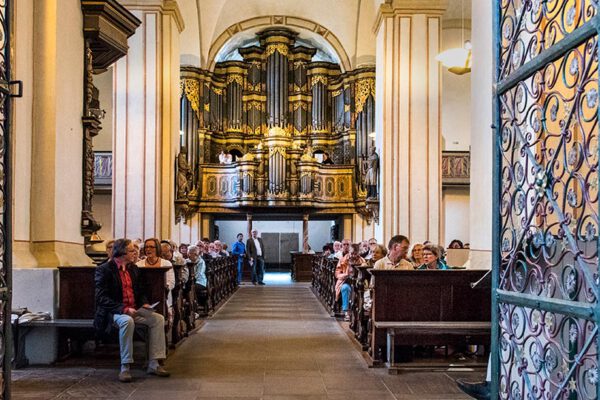 Orgel Durch Gitter2